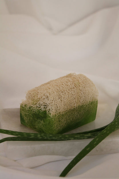 Luffa Seife mit Aloe Vera