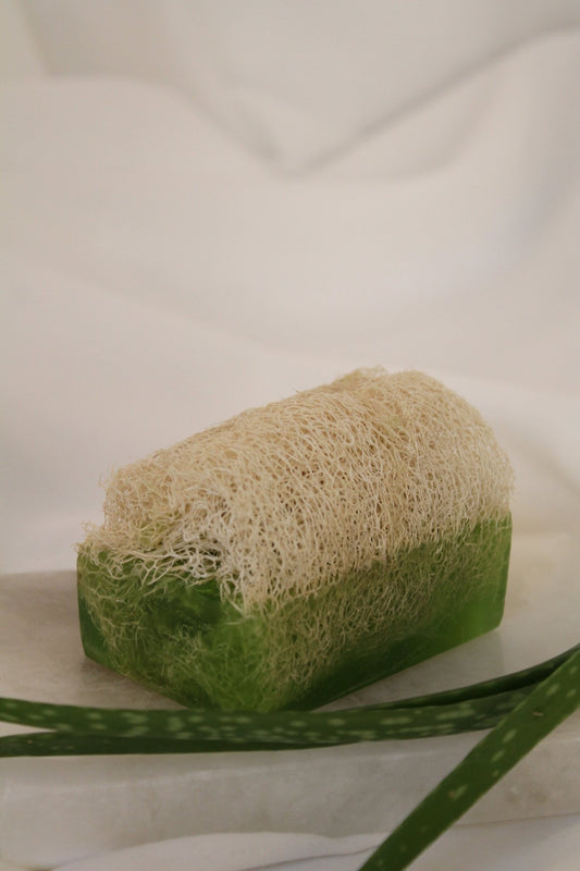 Luffa Seife mit Aloe Vera