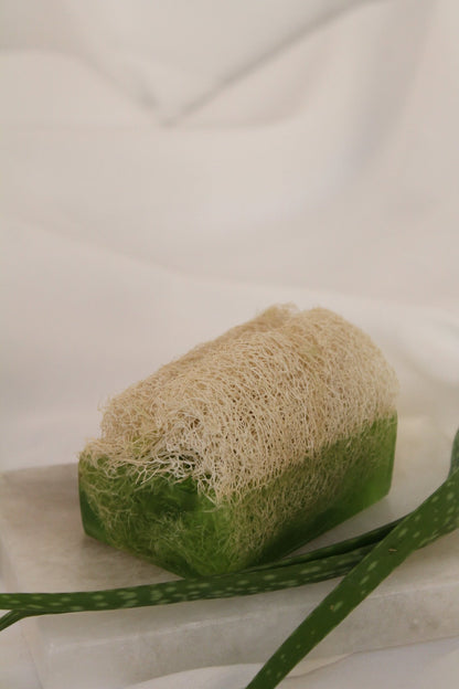 Luffa Seife mit Aloe Vera