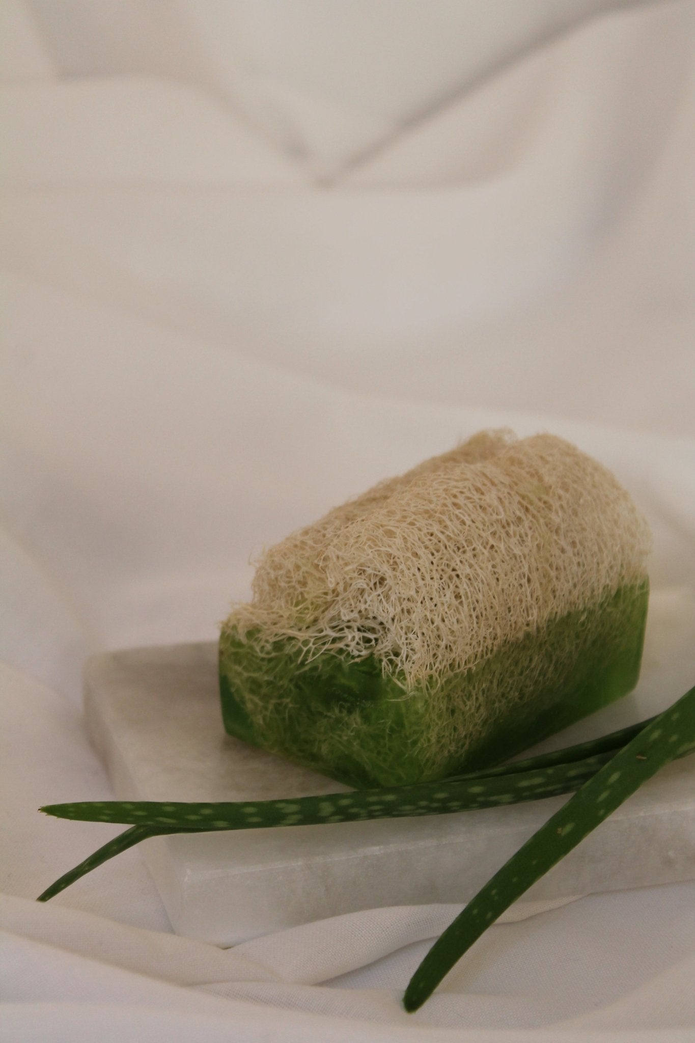 Luffa Seife mit Aloe Vera