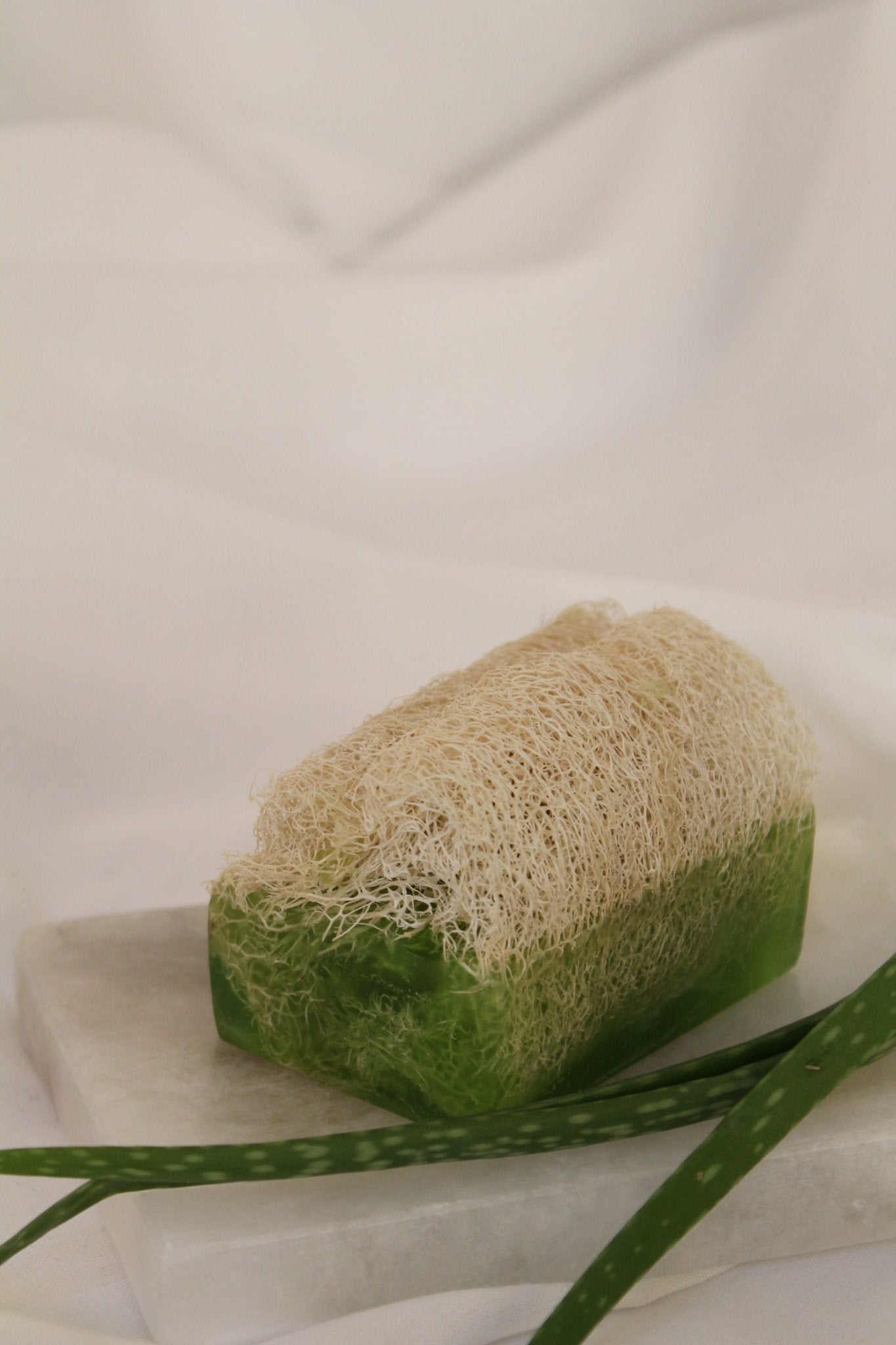 Luffa Seife mit Aloe Vera