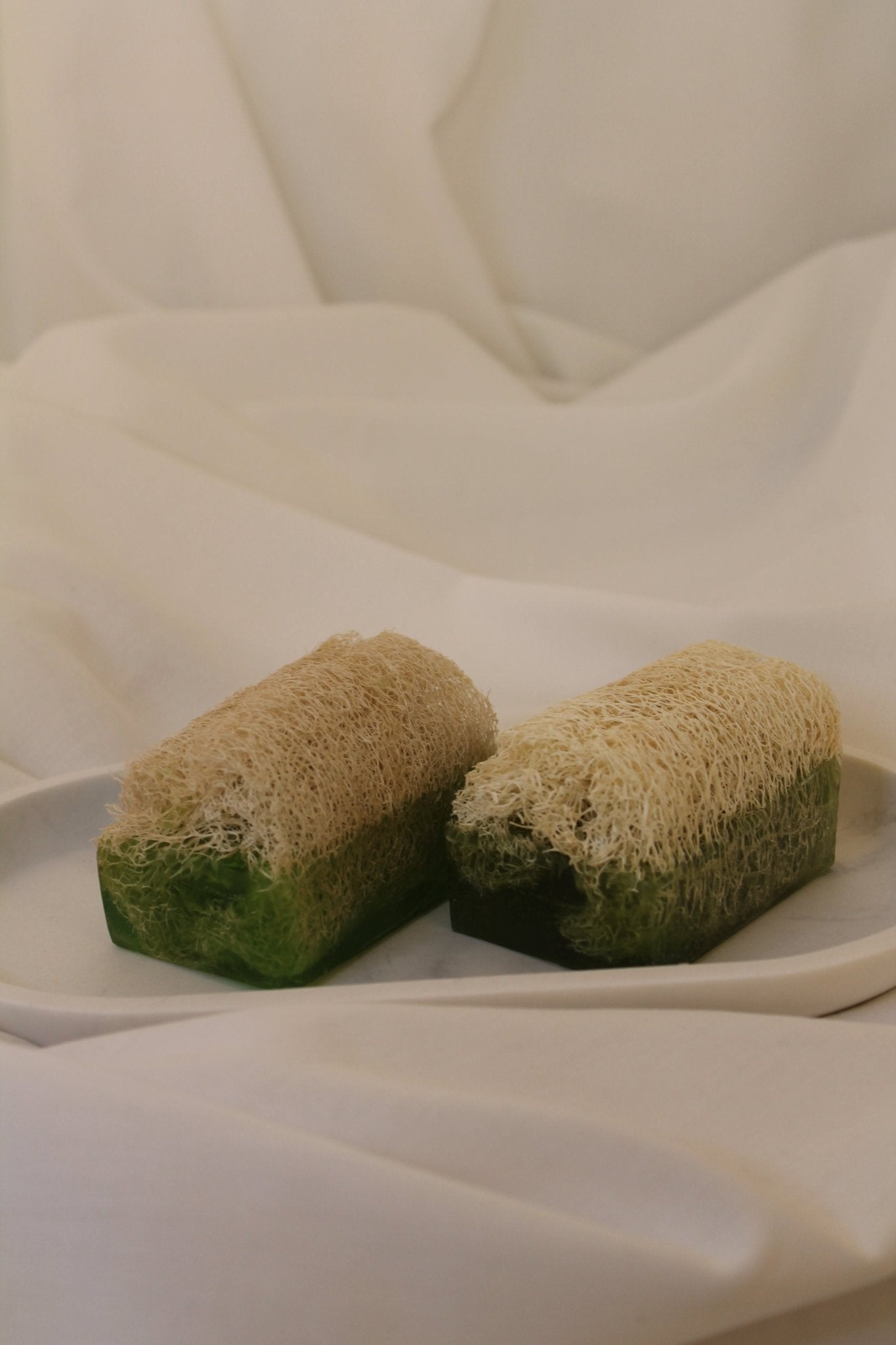 Luffa Seife mit Aloe Vera